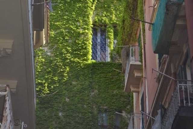 Nel rione Madonnella c'� il palazzo-giungla: unico caso a Bari